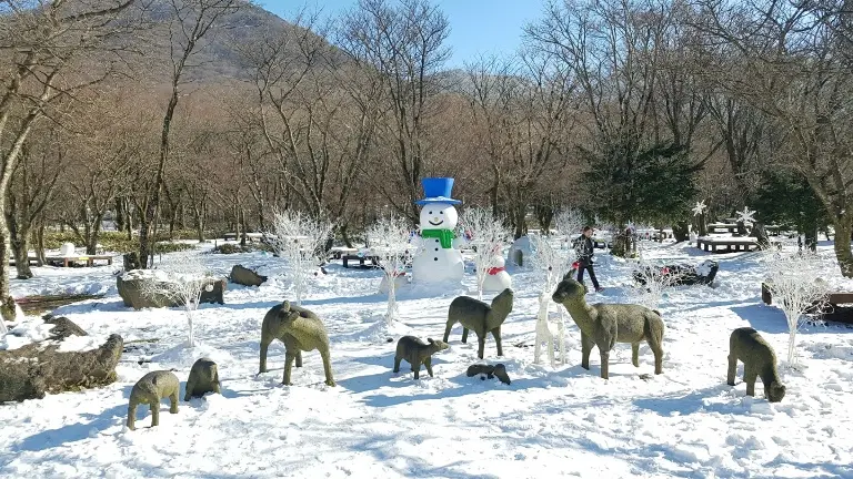 常に美しい済州島、1月はさらに美しい