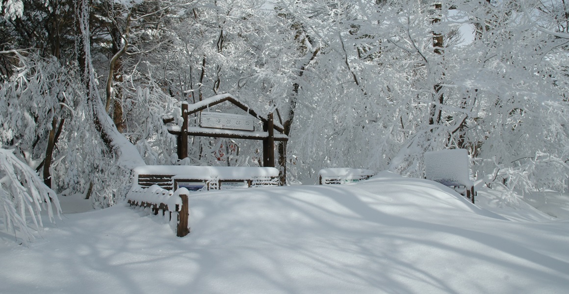 눈이 푹푹 나리는 날엔 <겨울에 가볼만한 제주 야외 관광지>