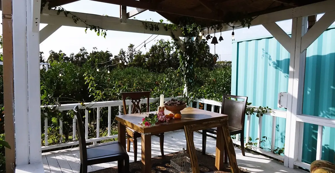 너는 나의 비타민 <제주도 귤 카페>