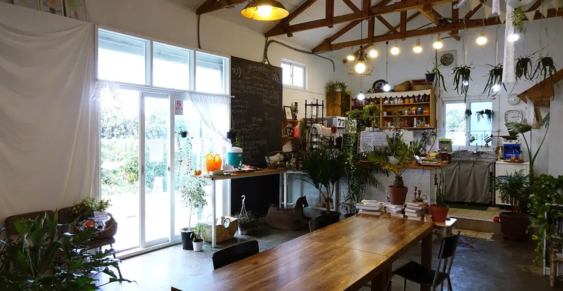 너는 나의 비타민 <제주도 귤 카페>