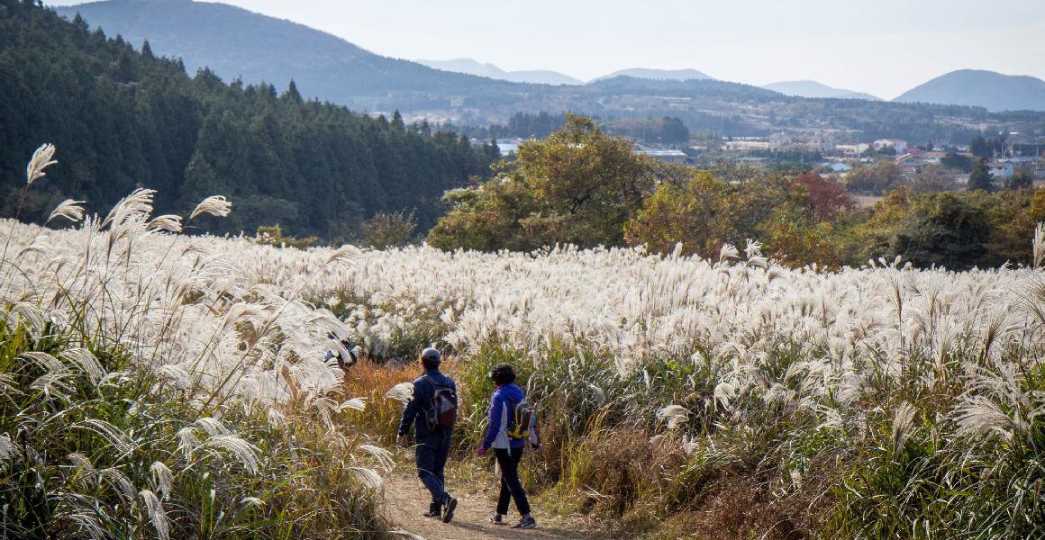 제주 마을 구석구석을 말하다 <제주 마을여행 활동가, 삼춘마을 만들기 프로젝트>