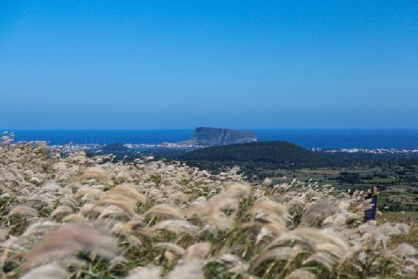 제주 마을 구석구석을 말하다 <제주 마을여행 활동가, 삼춘마을 만들기 프로젝트>