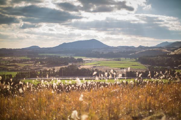 제주 마을 구석구석을 말하다 <제주 마을여행 활동가, 삼춘마을 만들기 프로젝트>