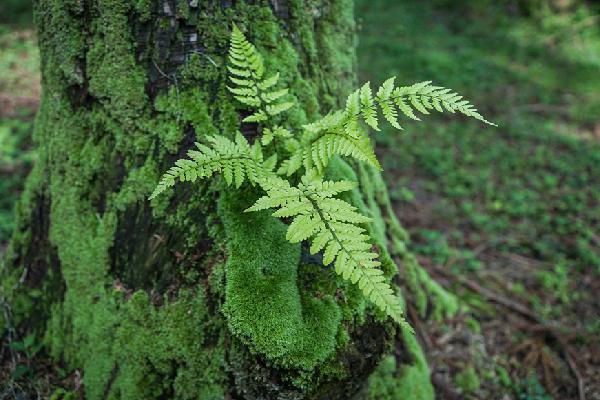 제주 마을 구석구석을 말하다 <제주 마을여행 활동가, 삼춘마을 만들기 프로젝트>