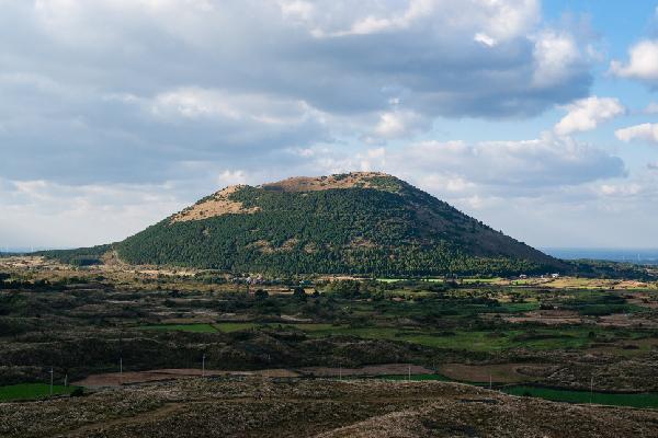 제주 마을 구석구석을 말하다 <제주 마을여행 활동가, 삼춘마을 만들기 프로젝트>