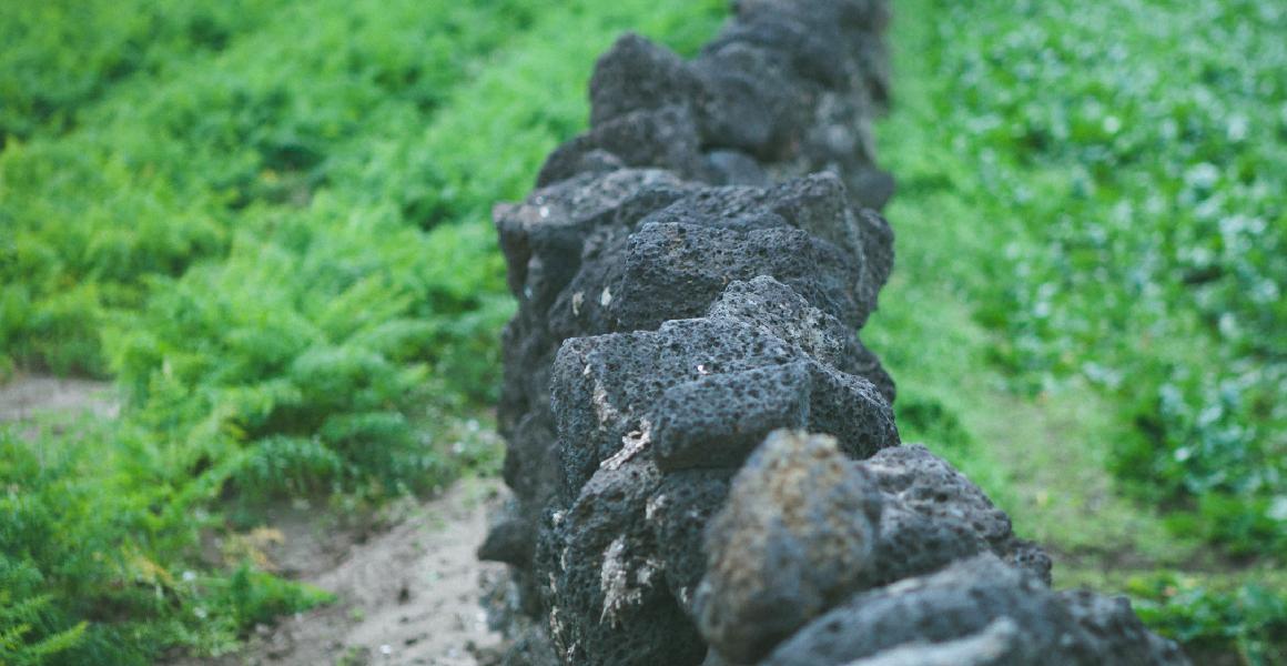 삼춘PD가 추천하는 우리마을 명소 <제주 구좌읍 구석구석 마을여행>