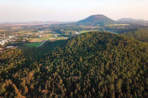 삼춘PD가 추천하는 우리마을 명소 <제주 구좌읍 구석구석 마을여행>