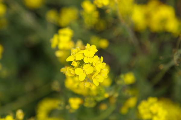 삼춘PD가 추천하는 우리마을 명소 <제주 구좌읍 구석구석 마을여행>
