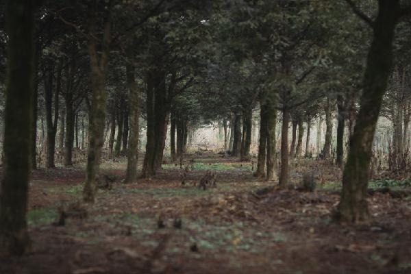 삼춘PD가 추천하는 우리마을 명소 <제주 구좌읍 구석구석 마을여행>