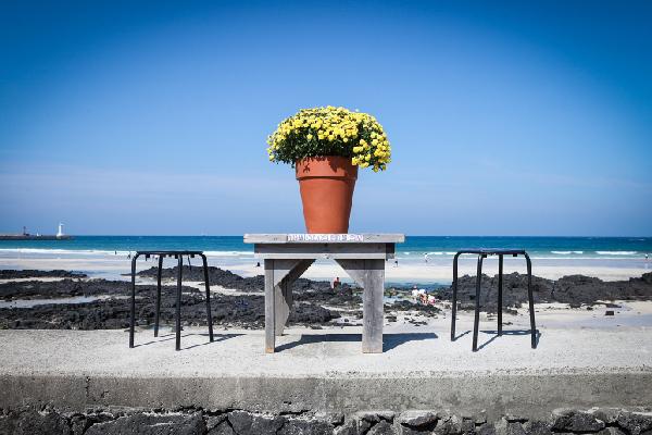 삼춘PD가 추천하는 우리마을 명소 <제주 구좌읍 구석구석 마을여행>