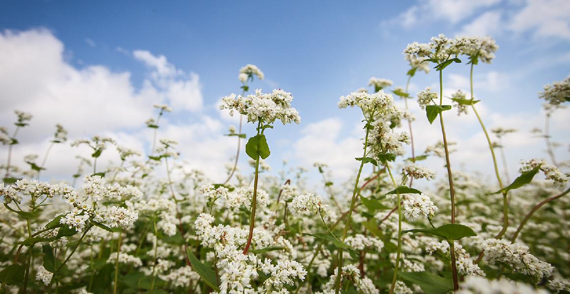 삼춘PD가 추천하는 우리마을 명소 <제주 구좌읍 구석구석 마을여행>