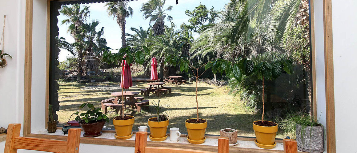 스테이위드커피