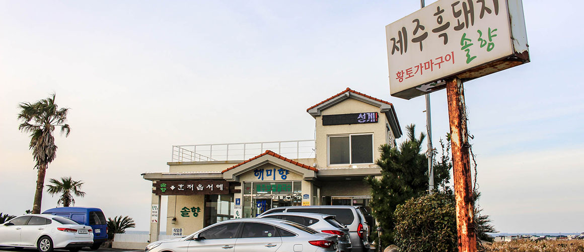 솔향