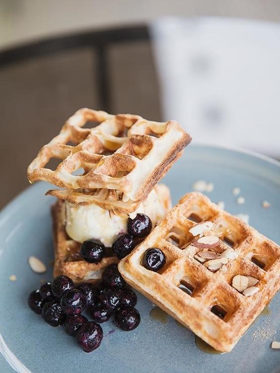 로치아 커피로스터스