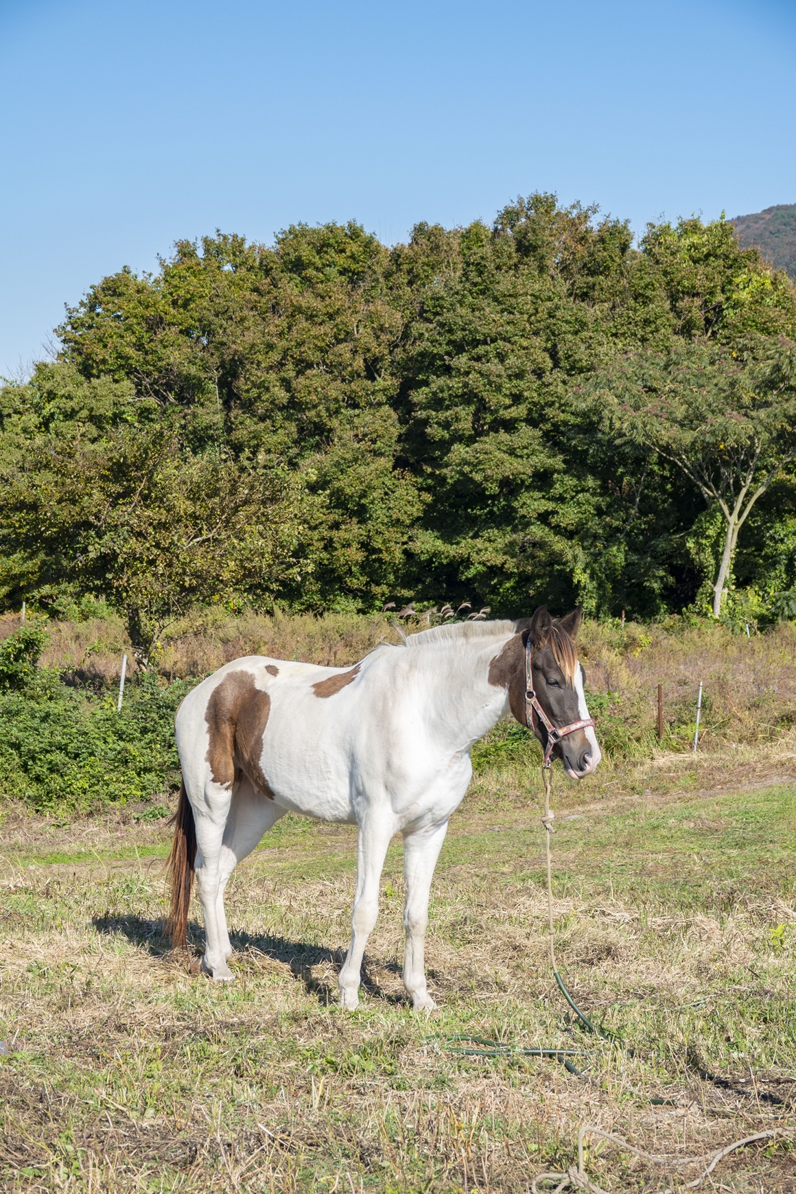 리얼제주를 만나다 <제주 늦가을 즐기기>