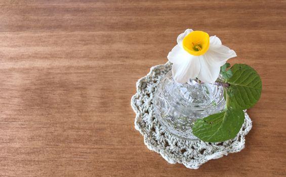 로스터리카페 담담