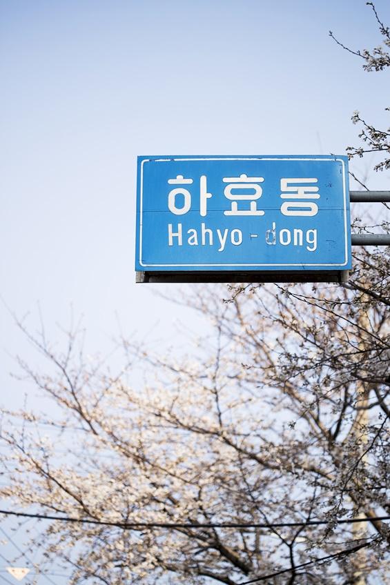 하효소머리국밥