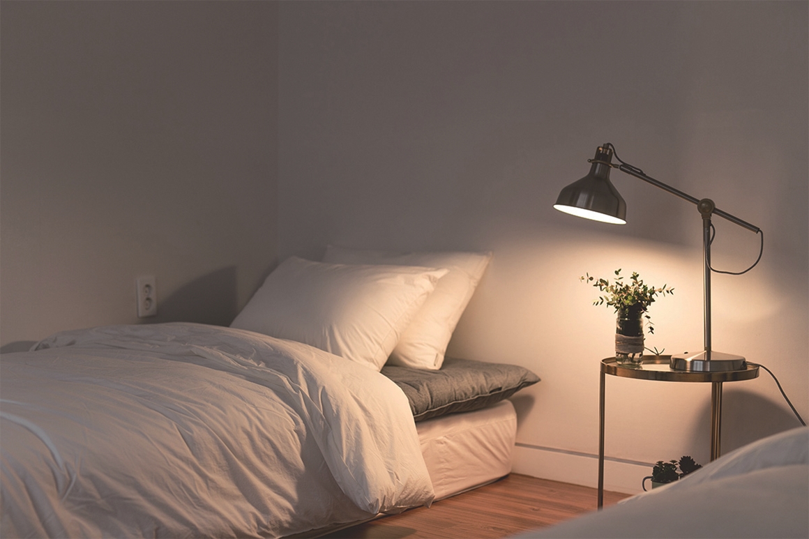 토리코티지X하시시박