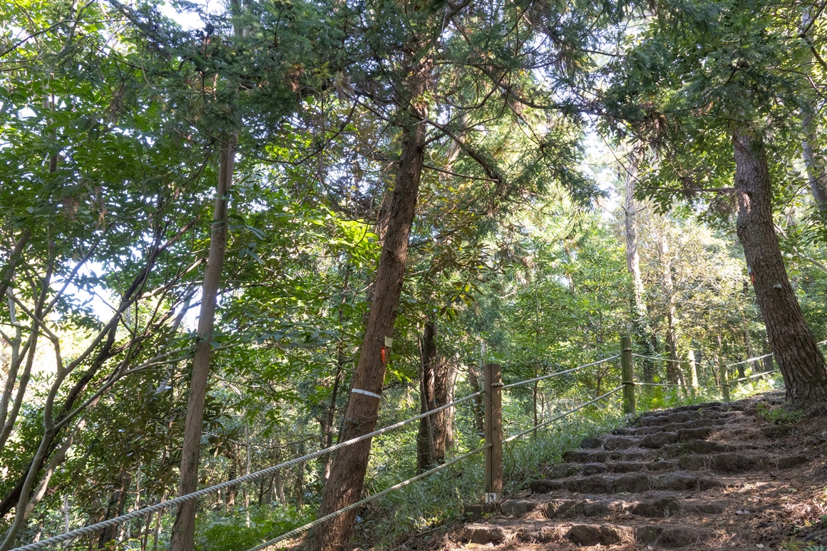 제주 남서부권 오름 가뿐하게 오르기 <쓰리 오름 챌린지>