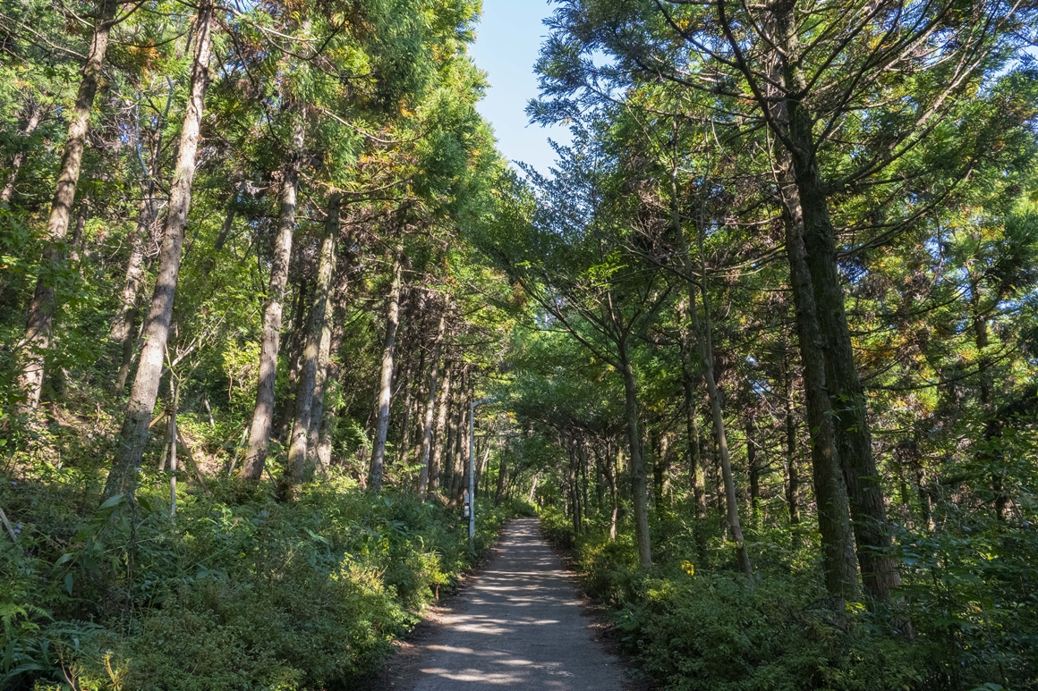 제주 남서부권 오름 가뿐하게 오르기 <쓰리 오름 챌린지>