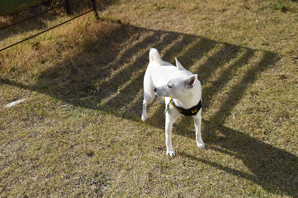 테이블앤데스크