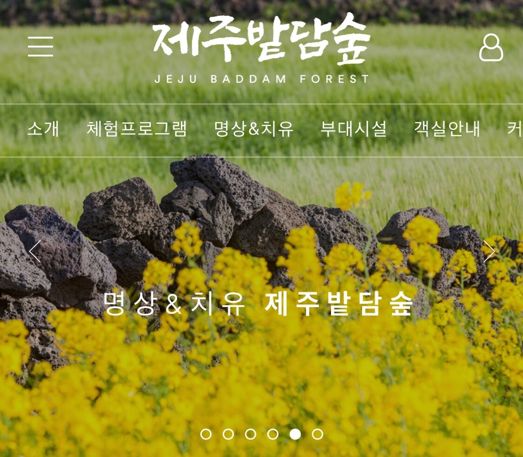 제주밭담숲