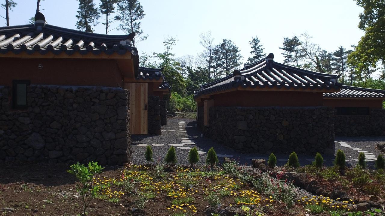제주밭담숲