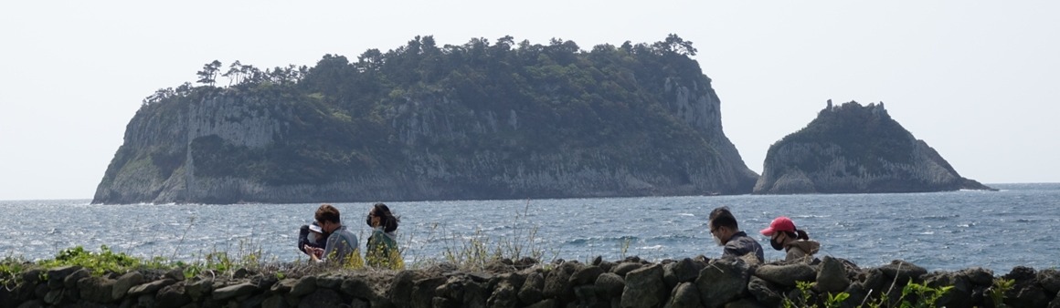 서귀포 유채꽃 국제걷기대회
