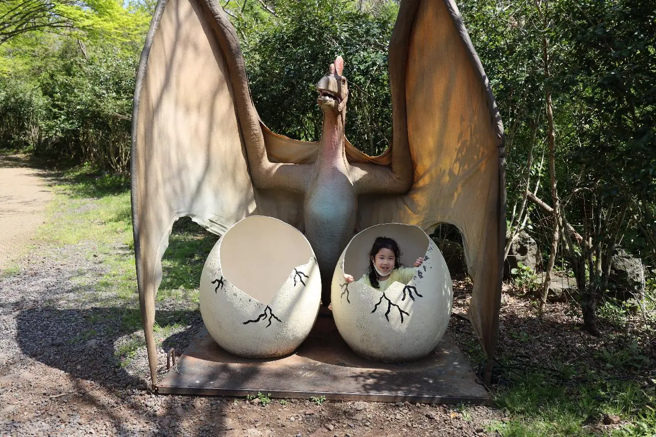 Forest Dinosaur Safari 恐龍蛋親子拍照區實景