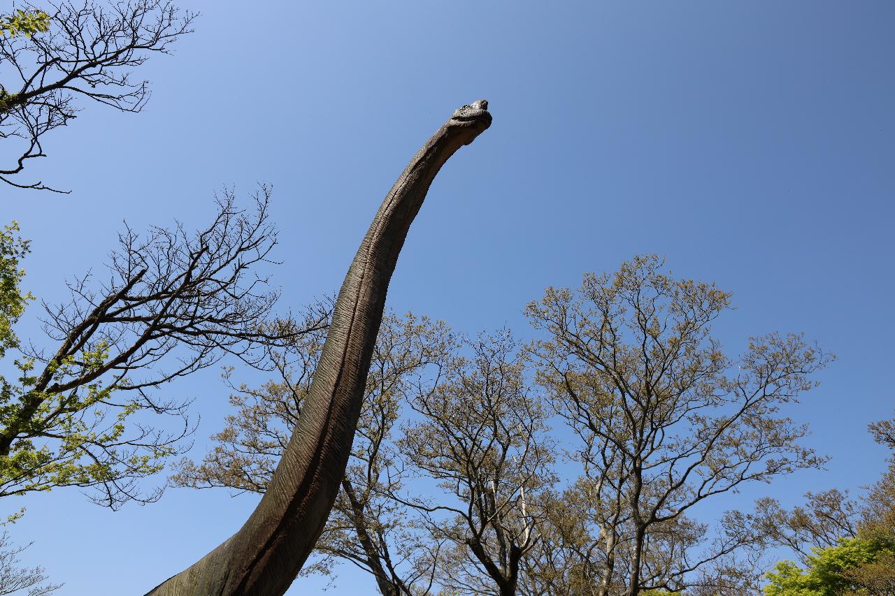 포레스트사파리