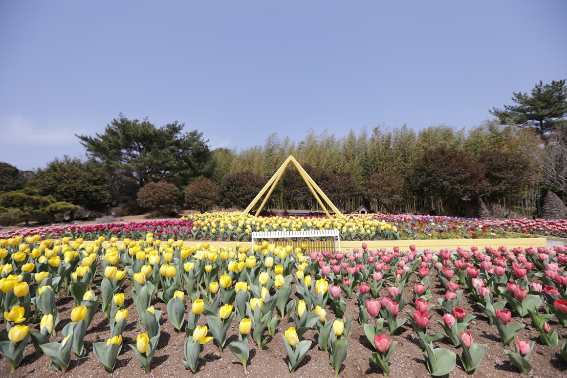 상효원 봄꽃축제