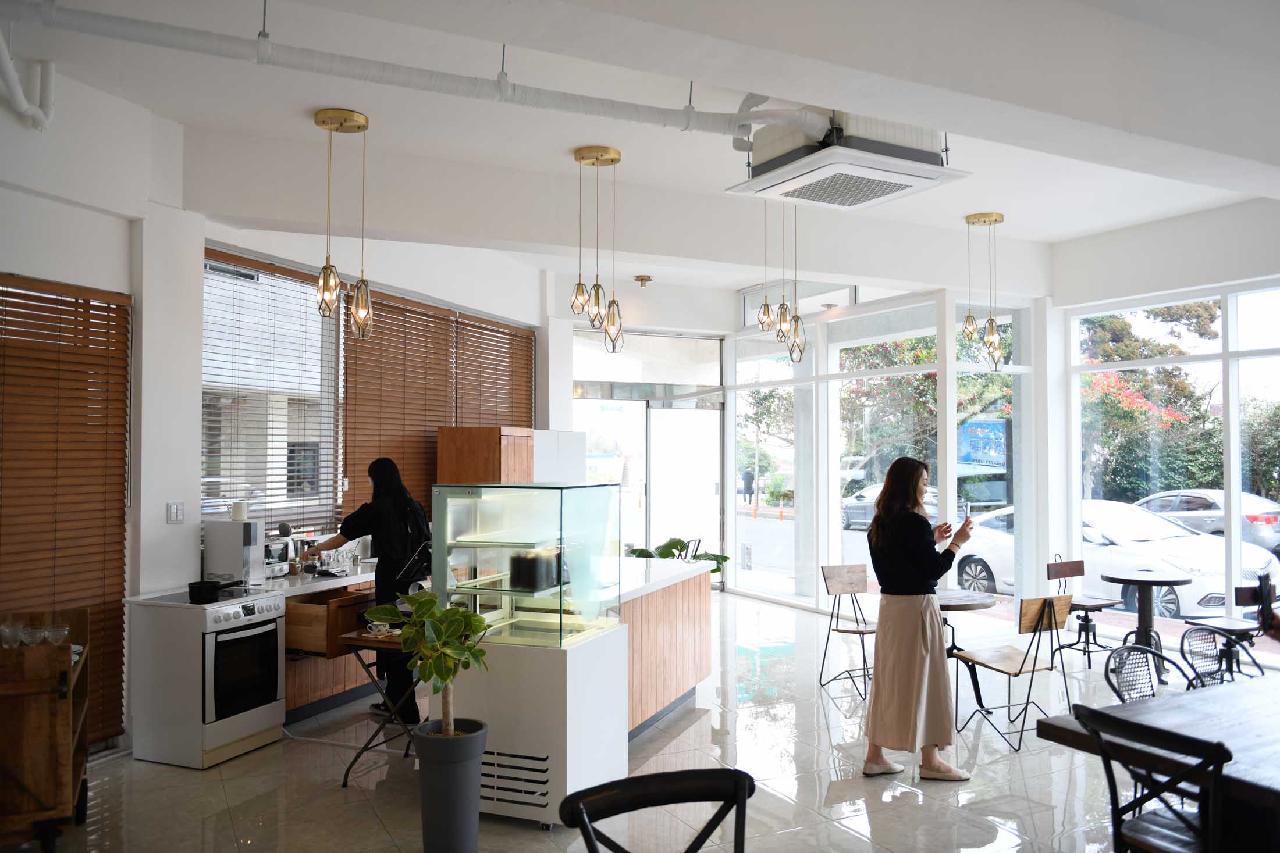 파피용 살롱드떼