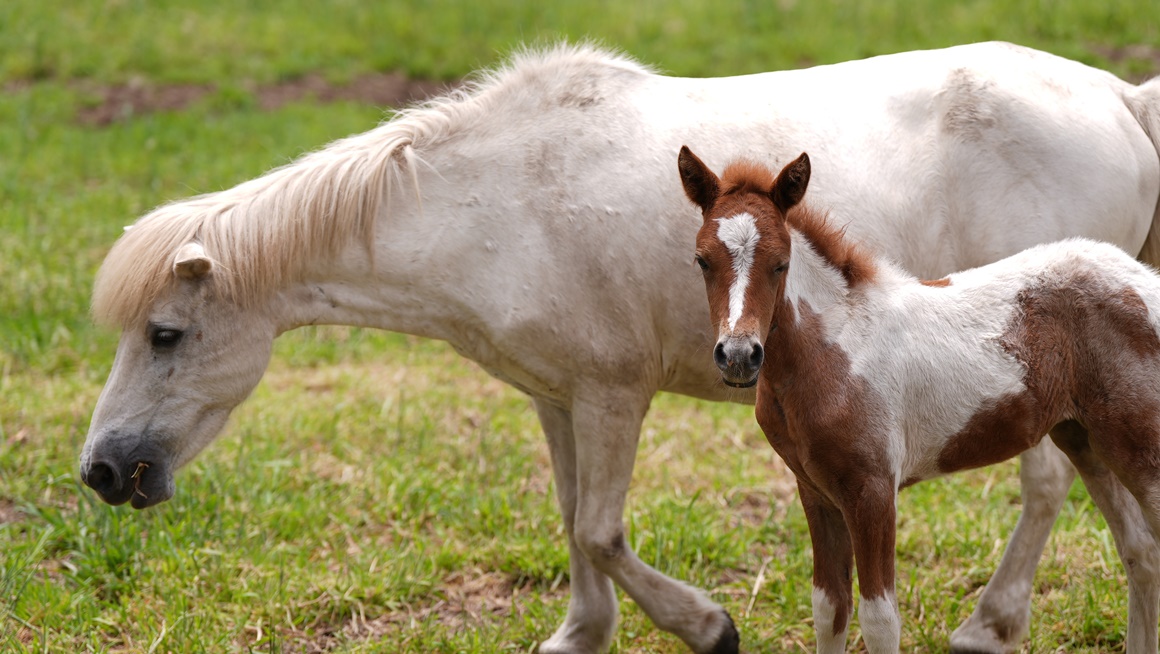추천 자연관광지 <초여름 싱그러운 제주>