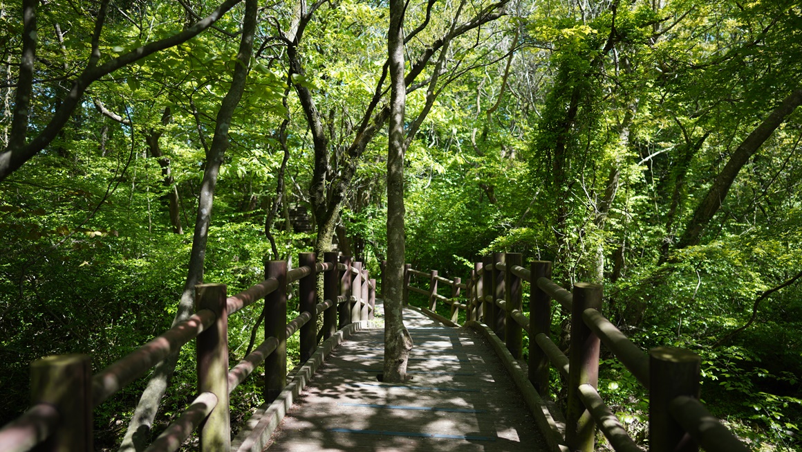 자연의 속살을 느끼다 <초여름 싱그러운 제주>