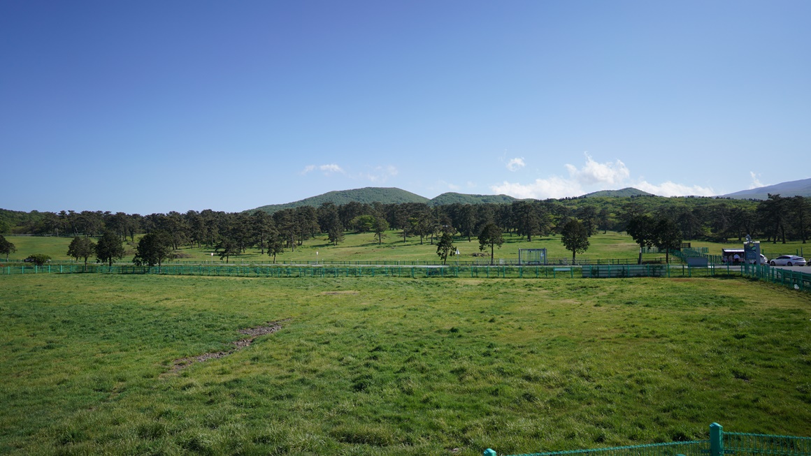 자연의 속살을 느끼다 <초여름 싱그러운 제주>