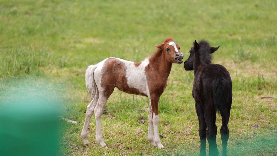 추천 자연관광지 <초여름 싱그러운 제주>