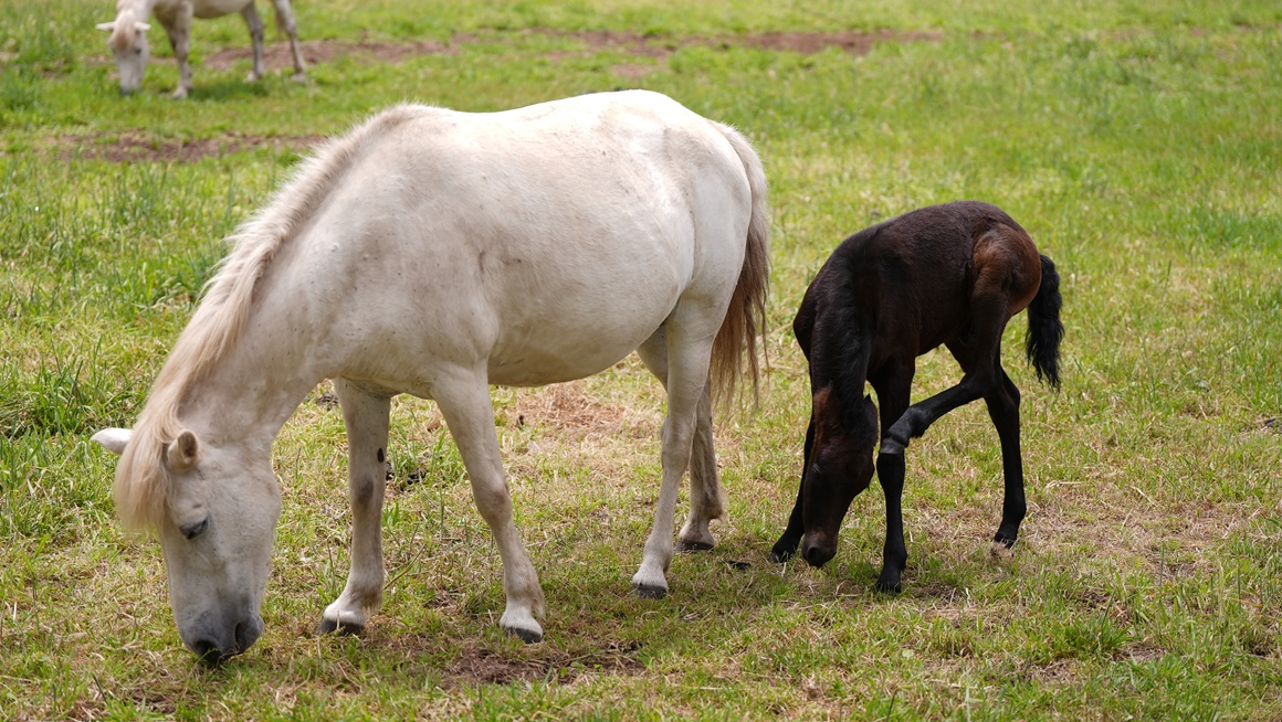 추천 자연관광지 <초여름 싱그러운 제주>