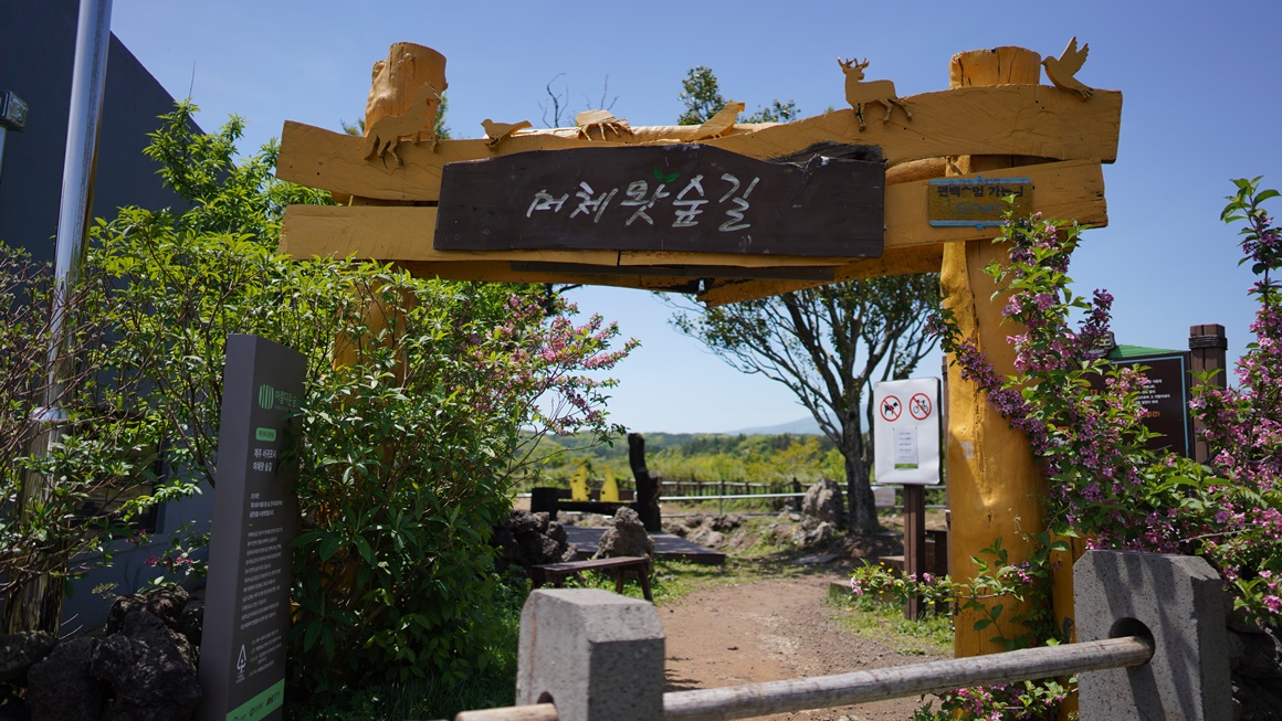 자연의 속살을 느끼다 <초여름 싱그러운 제주>