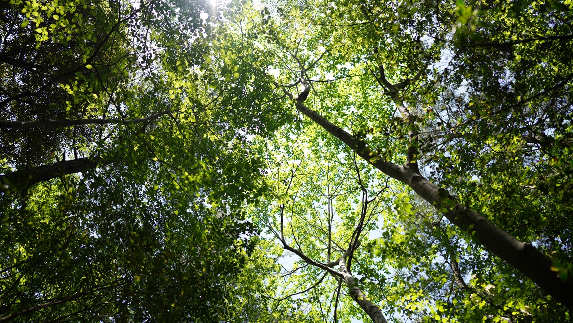 자연의 속살을 느끼다 <초여름 싱그러운 제주>