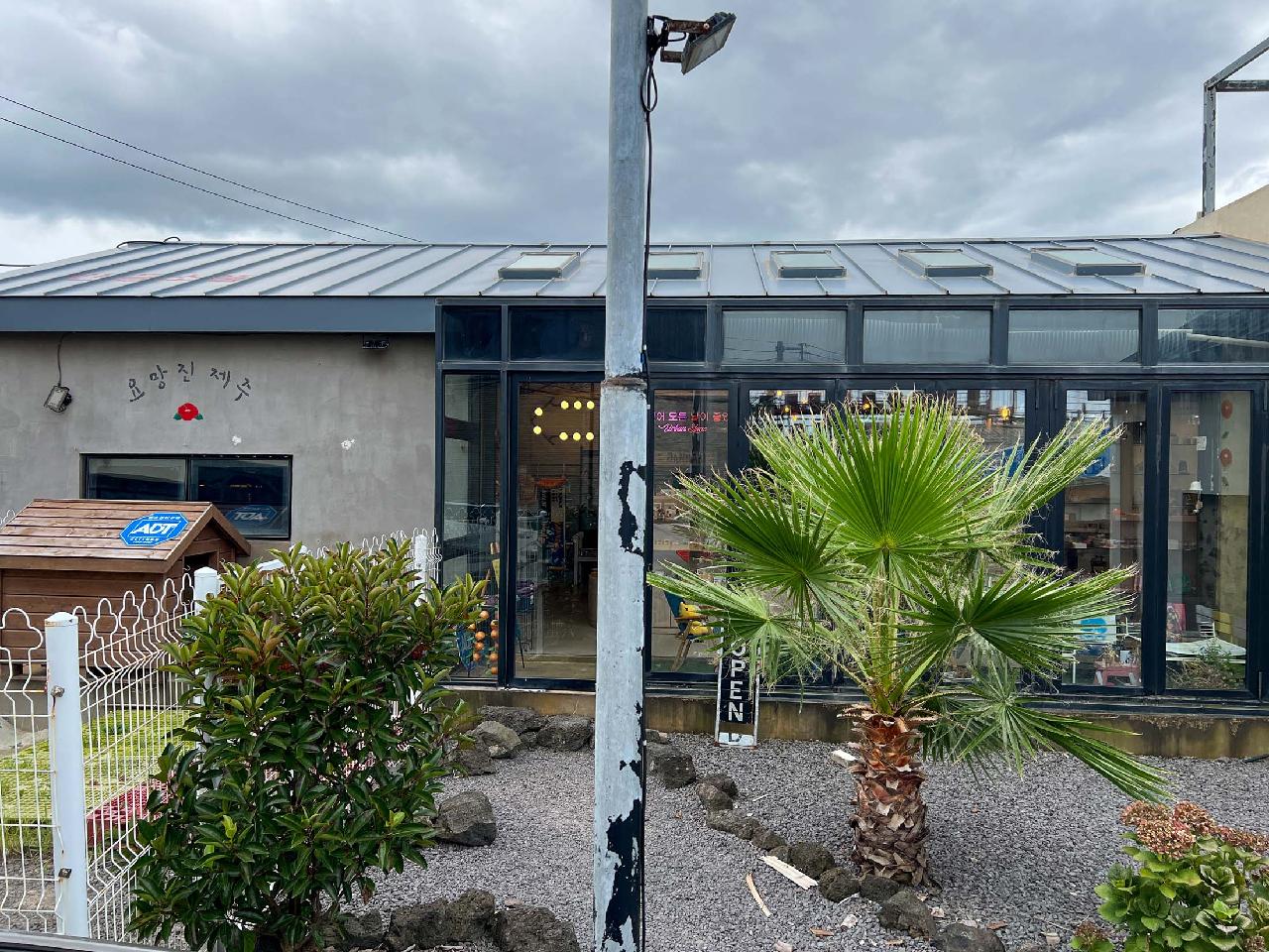 요망진제주월정