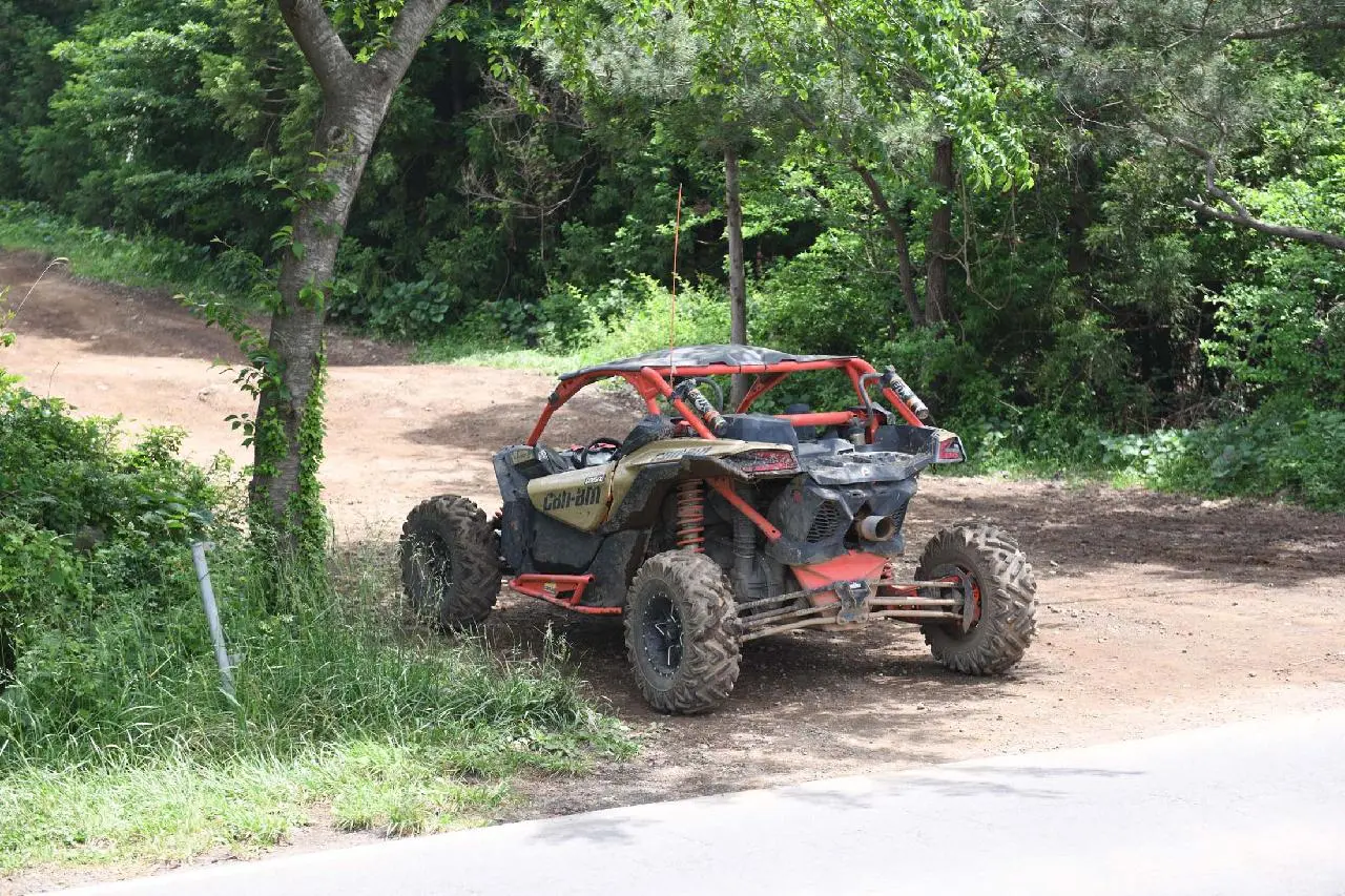 バギー　ジャンク　現状渡し Visit Jeju