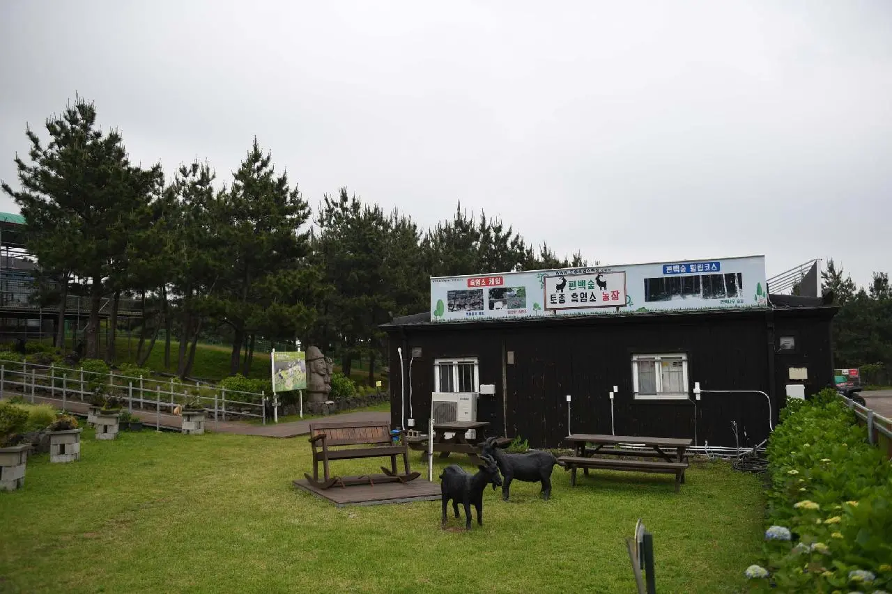 편백포레스트