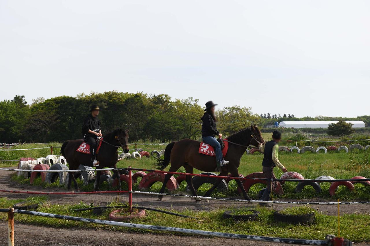 탐라승마장