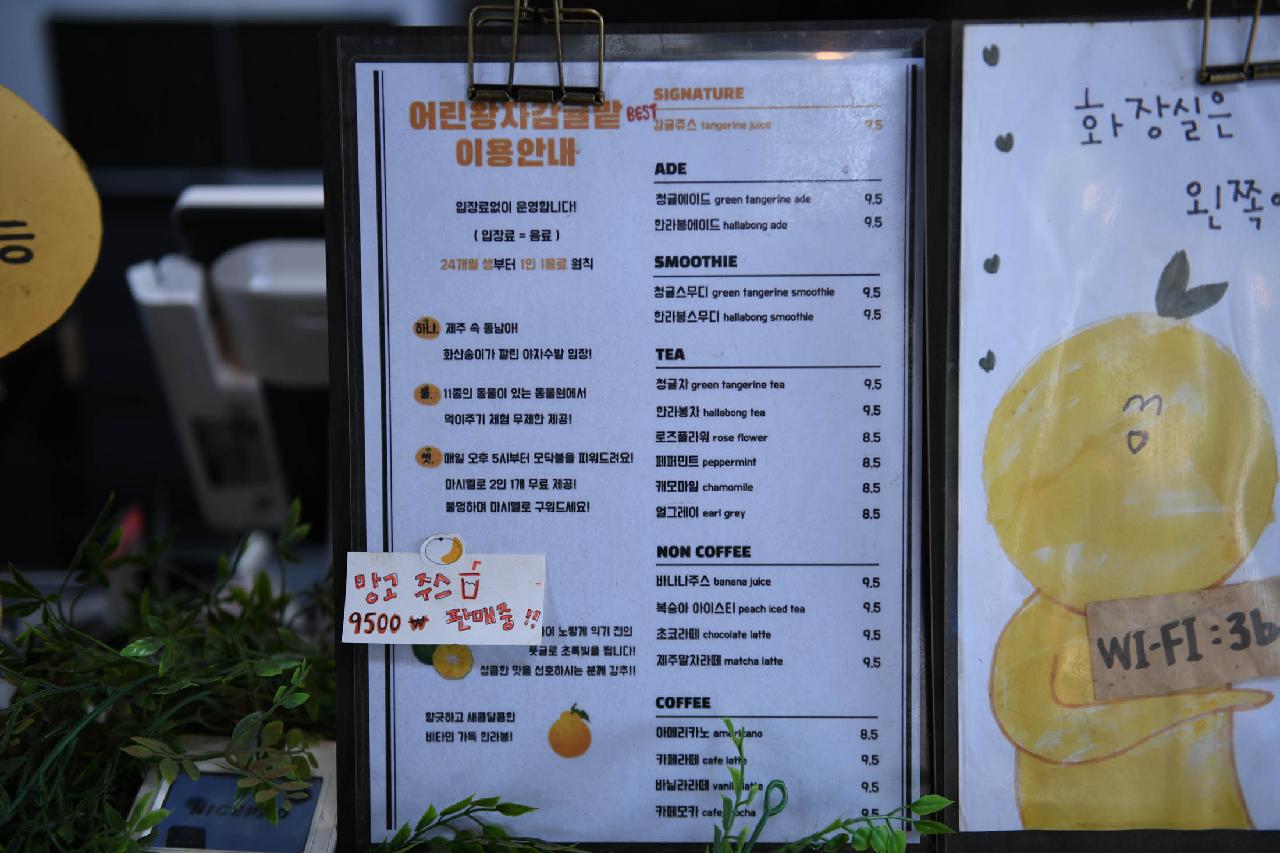 어린왕자감귤밭