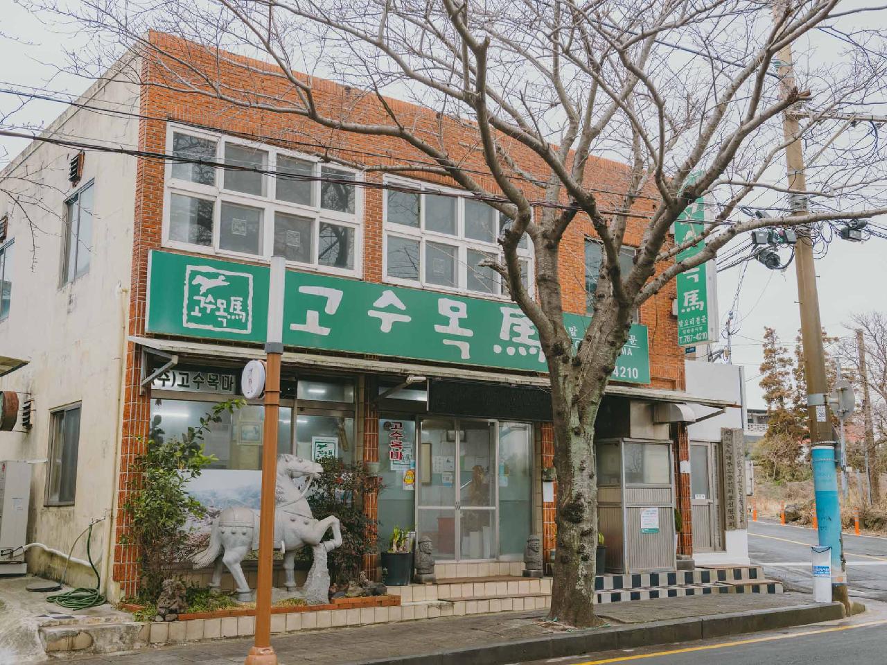 고수목마식당