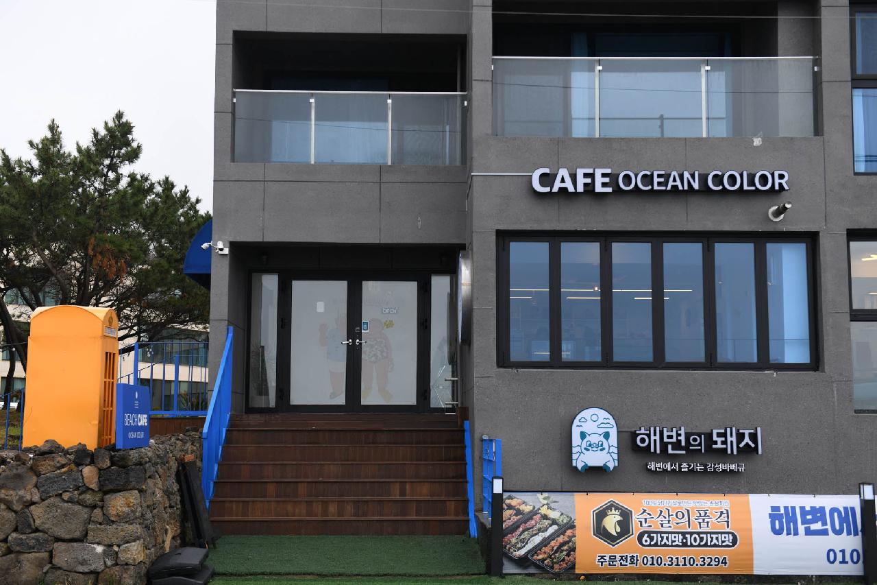 오션컬러