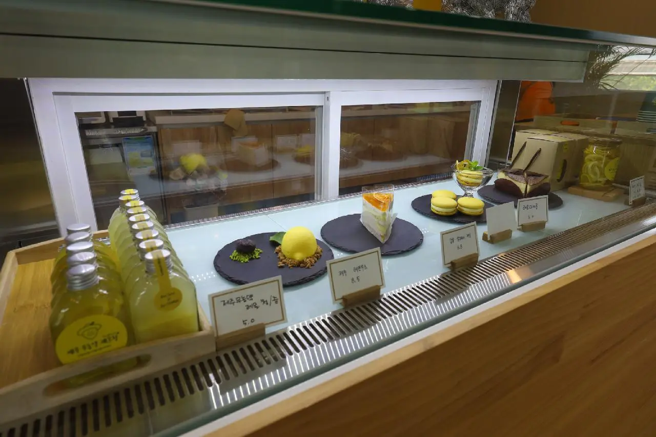 Lemon Museum (레몬뮤지엄)