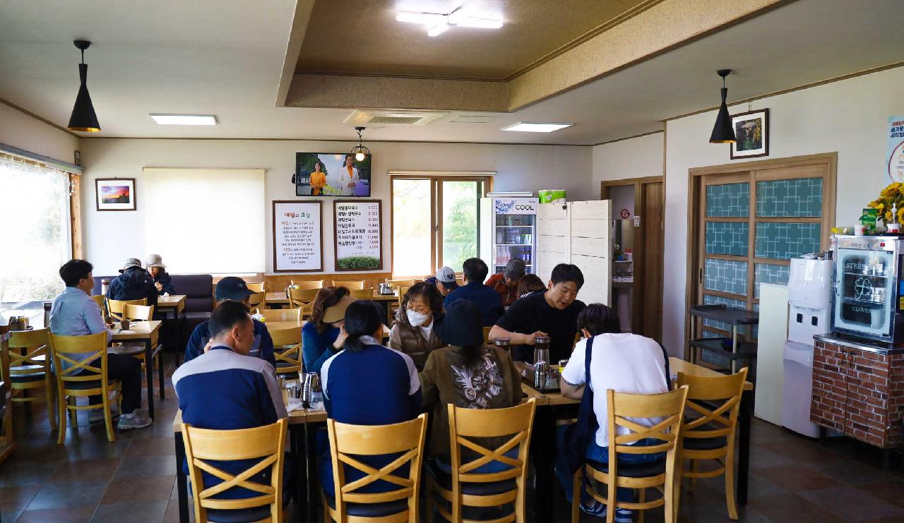 메밀꽃제주