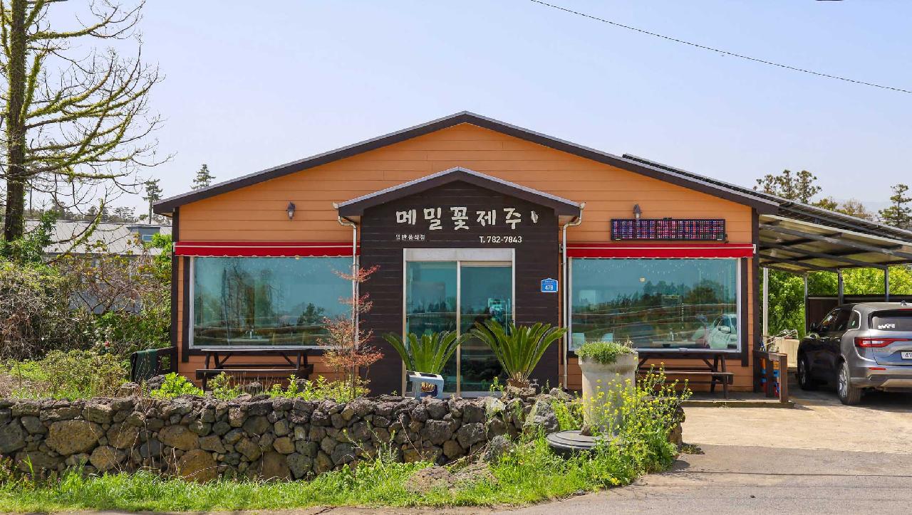 메밀꽃제주