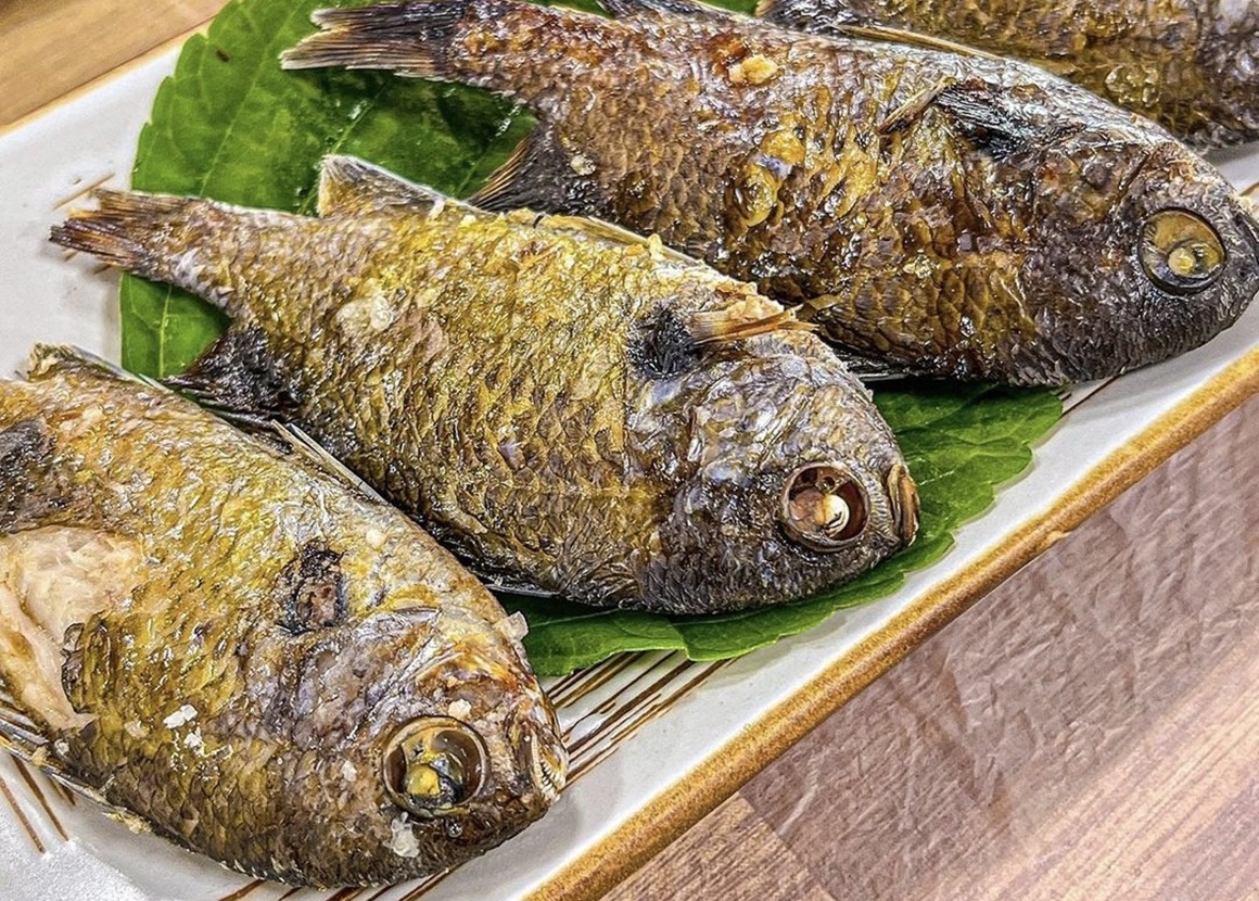 삼바리회센타 용두암점